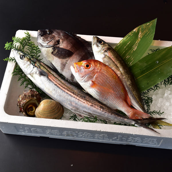 旬のおまかせセット　小　（送料込）
