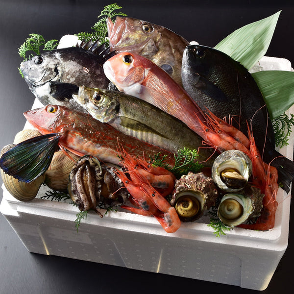 旬のおまかせセット　大　（送料込）